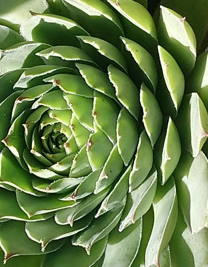 atelier a la muraz : le mental positif.